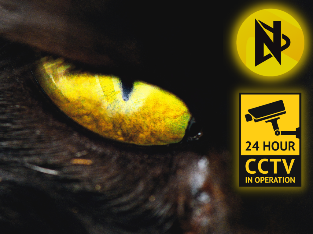 monitoring miedziana góra